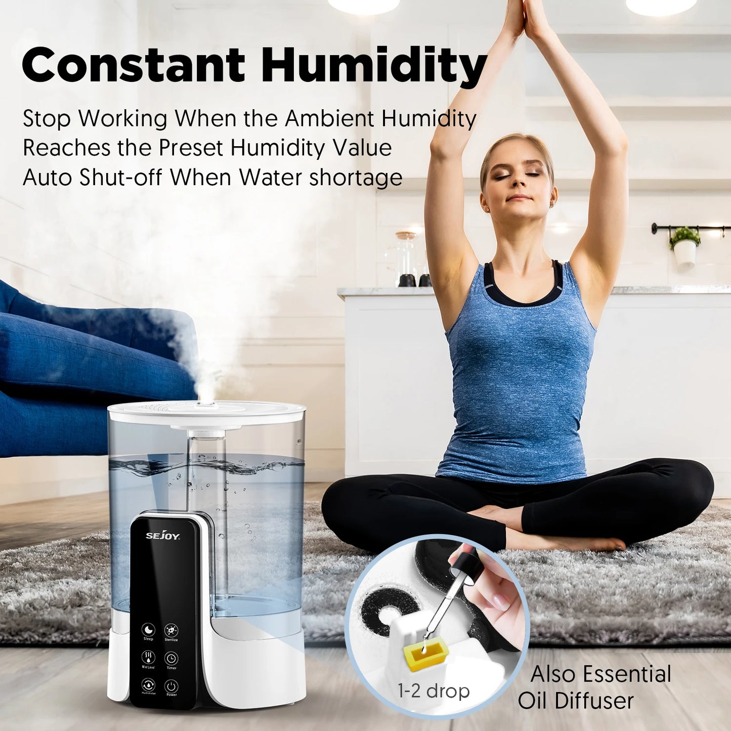 110-220V 6L Perfume Air Humidifier Home with LED Display